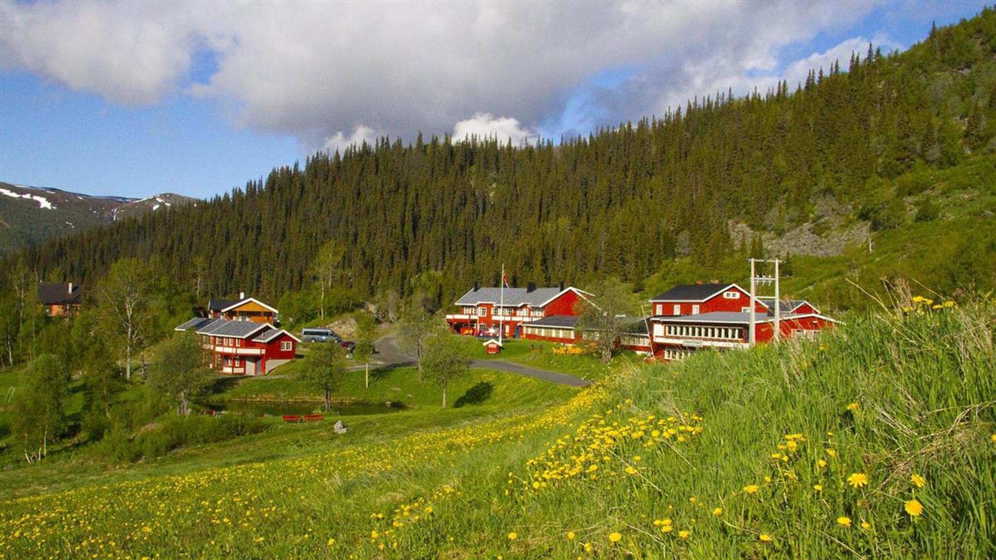 Red wooden mopuntain lodge in a wild flower meadow in a hillside with forested hills in the background