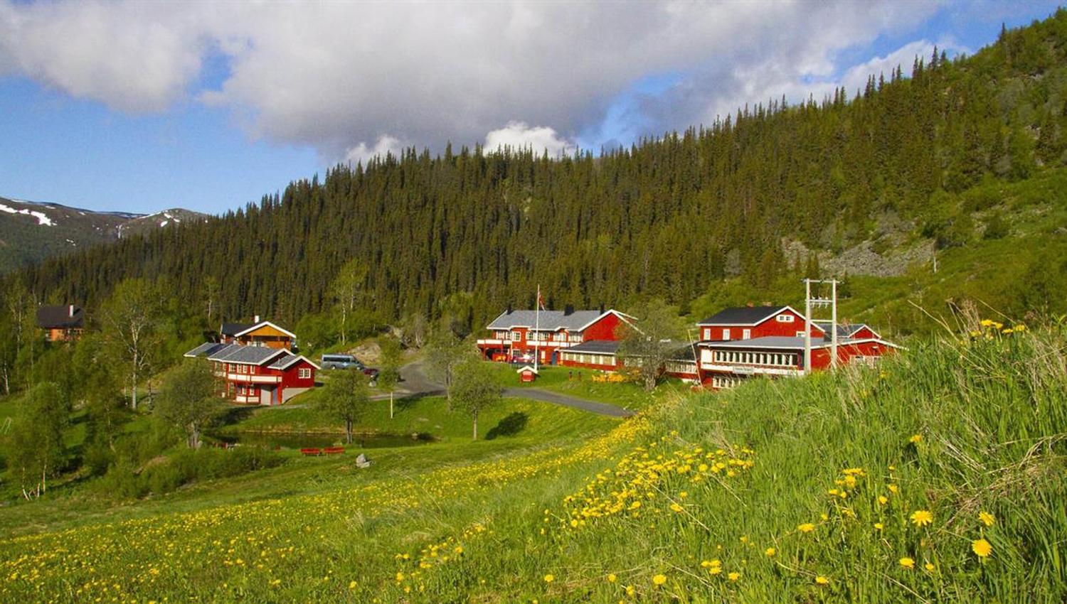 Red wooden mopuntain lodge in a wild flower meadow in a hillside with forested hills in the background