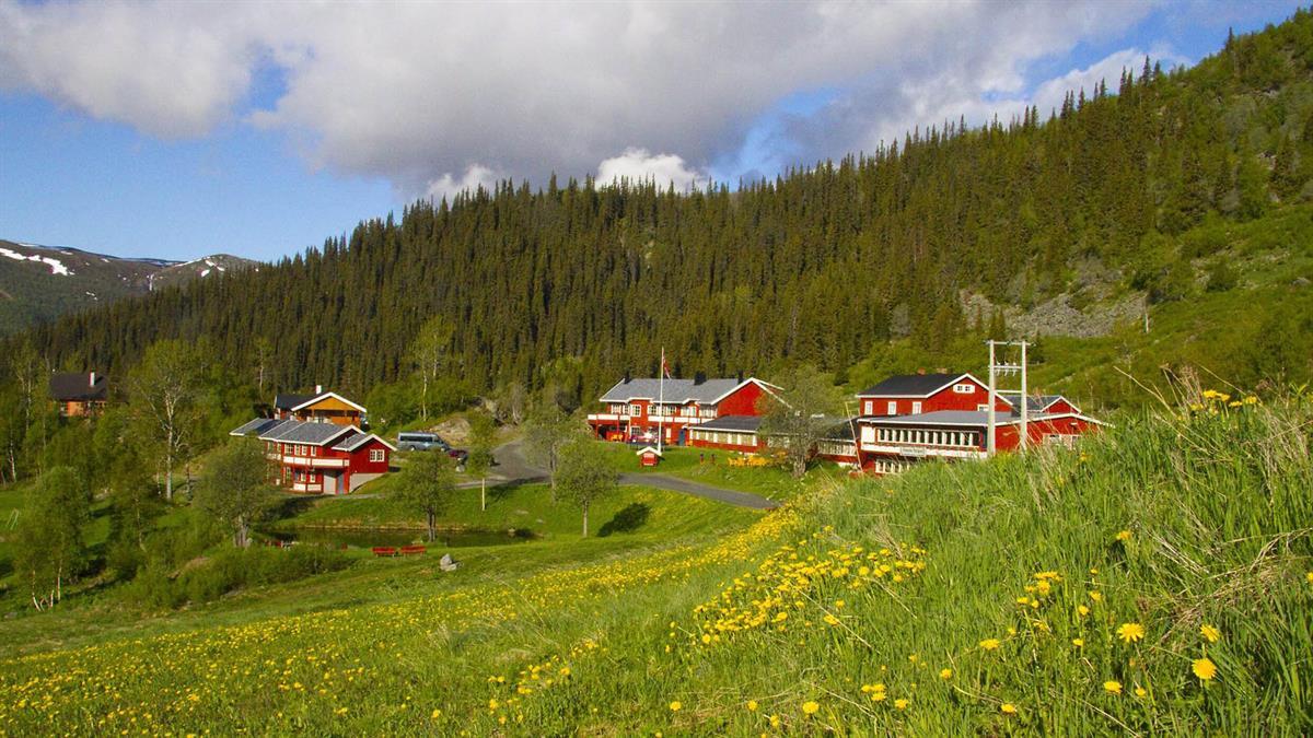 Red wooden mopuntain lodge in a wild flower meadow in a hillside with forested hills in the background