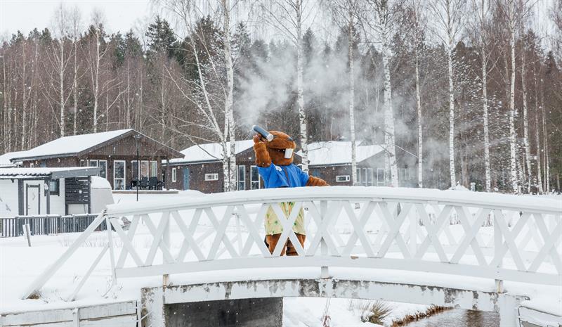 Beverøya Hytteutleie og Camping i vinter