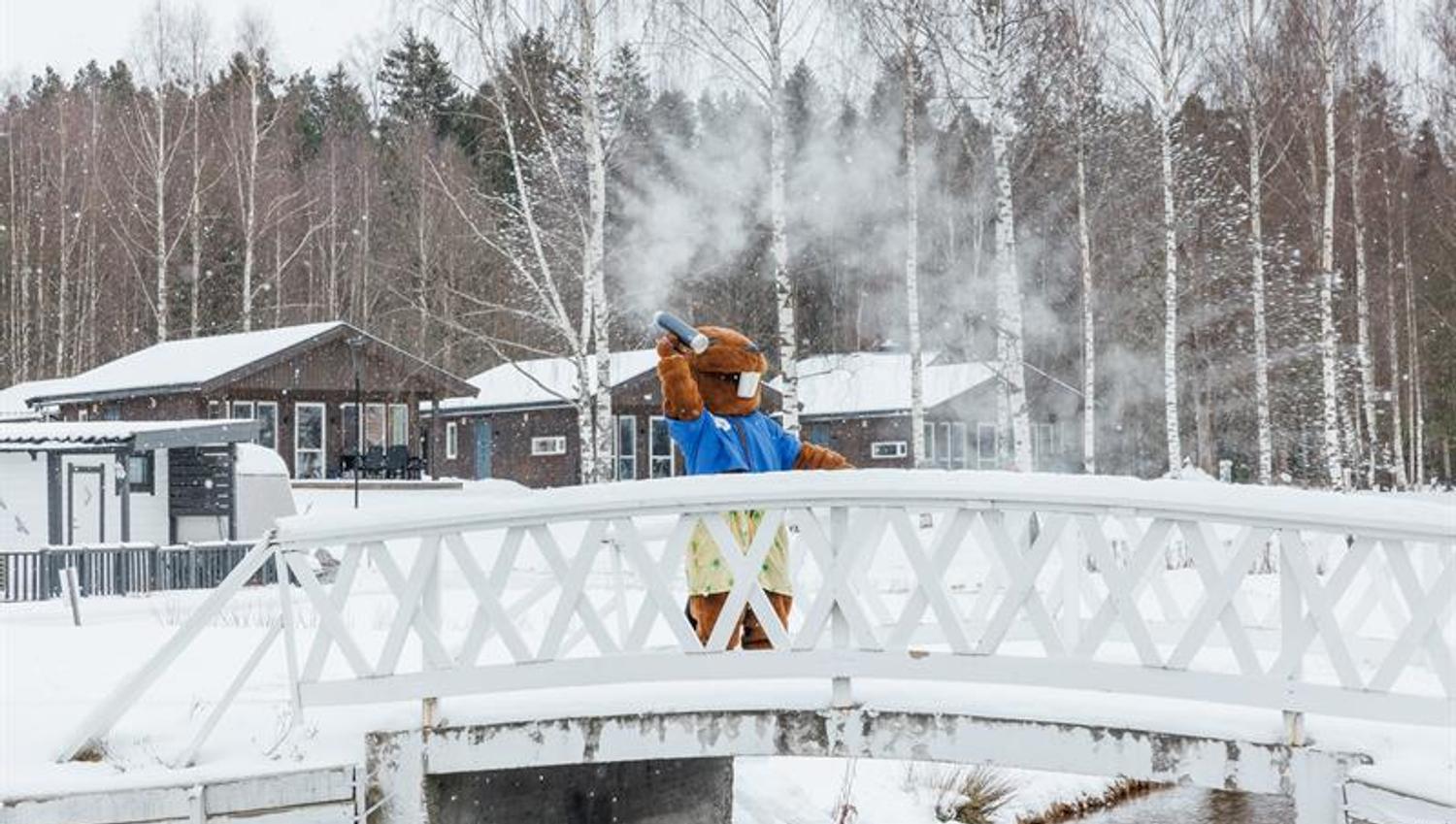 Beverøya Hytteutleie og Camping i vinter