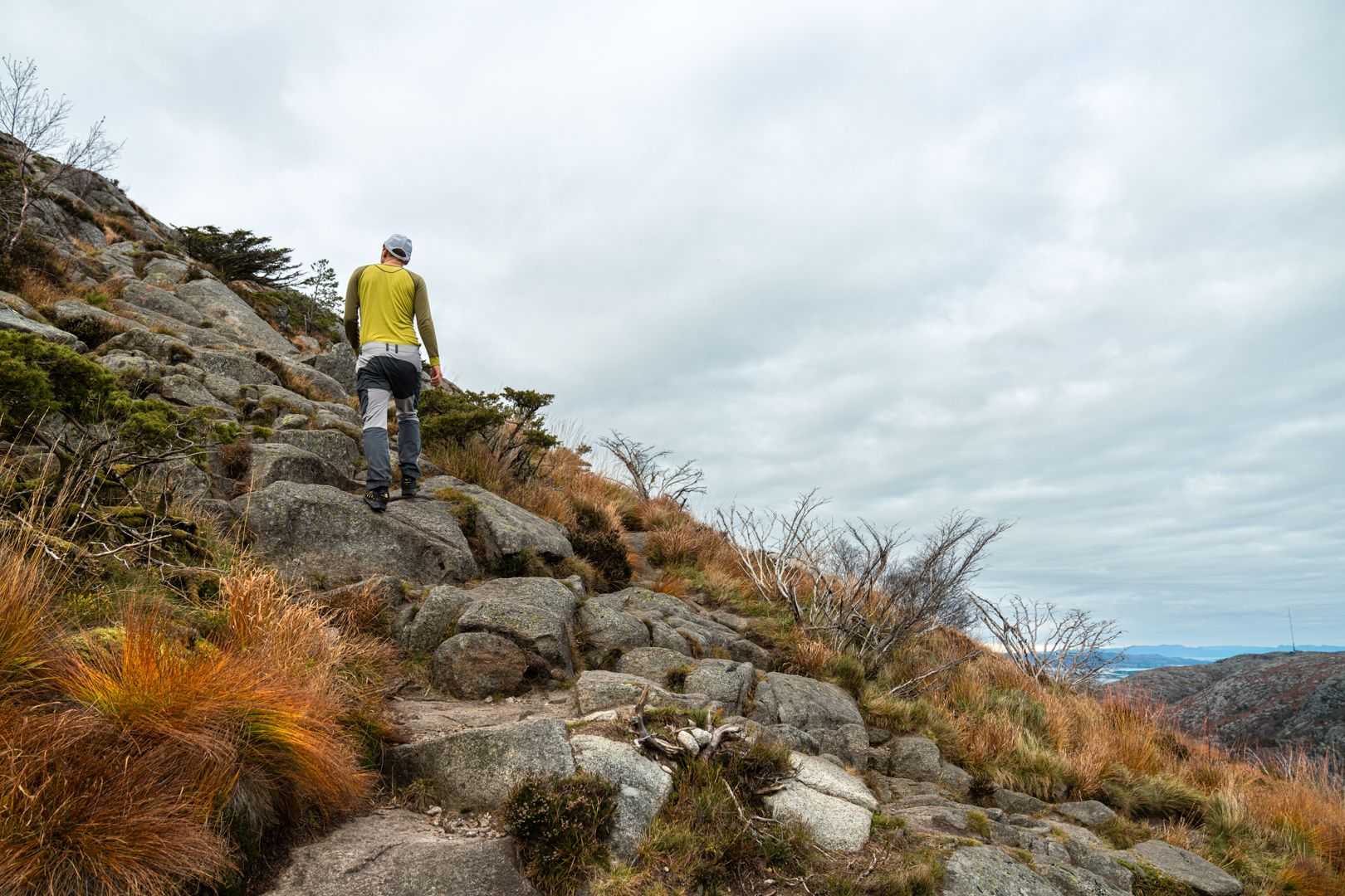 Up towards the top of Dalsnuten