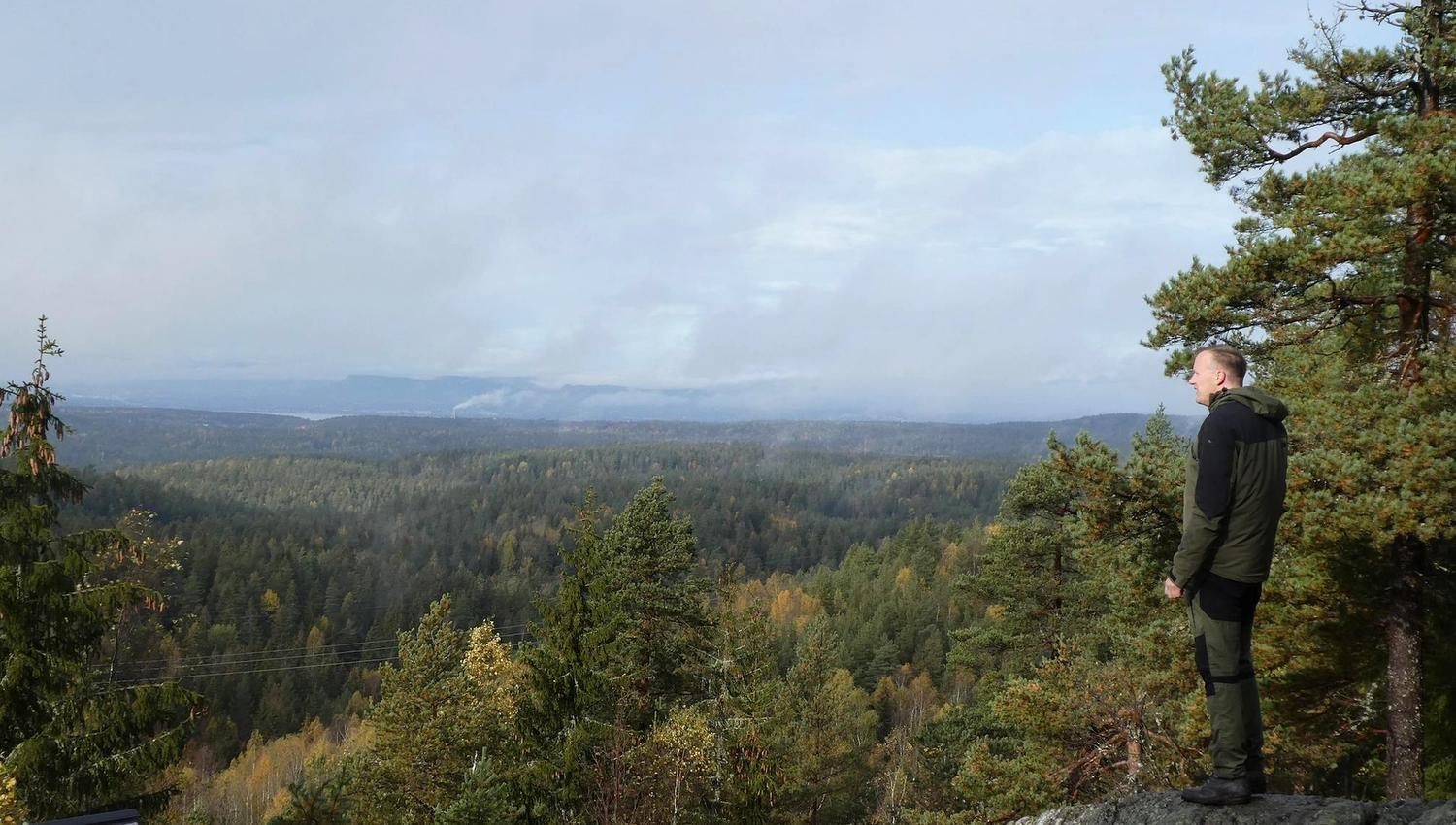 Tømmeråsen