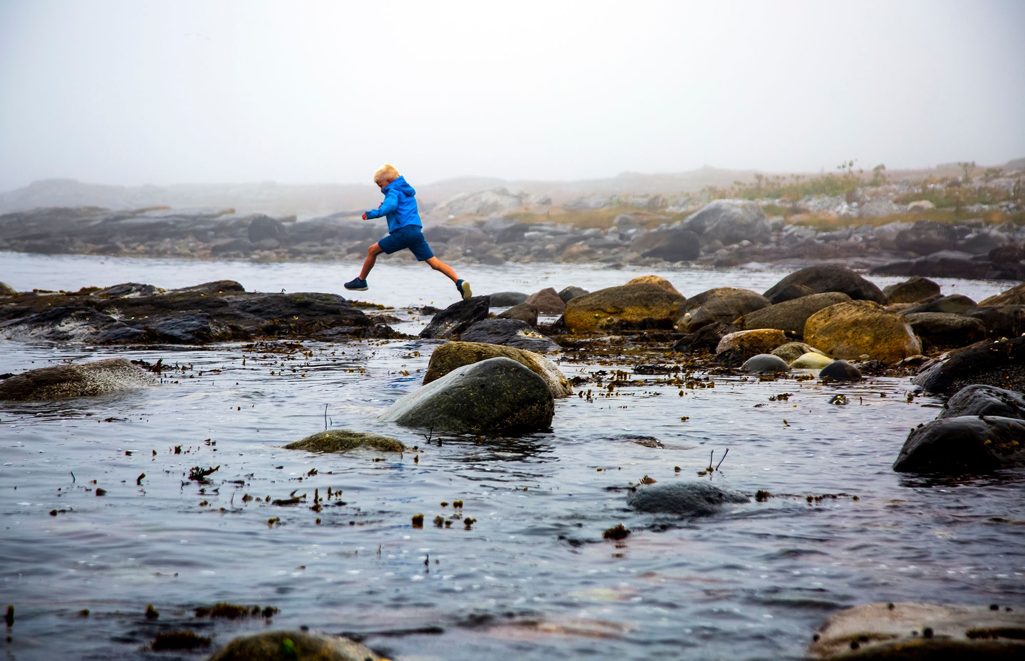 Coastal life at Børaunen