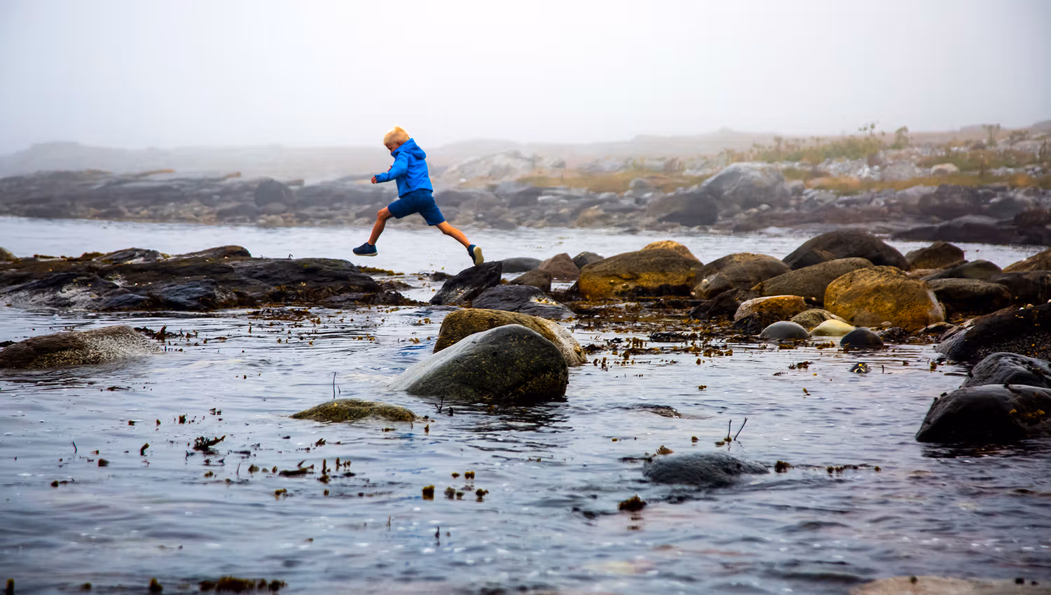 Coastal life at Børaunen