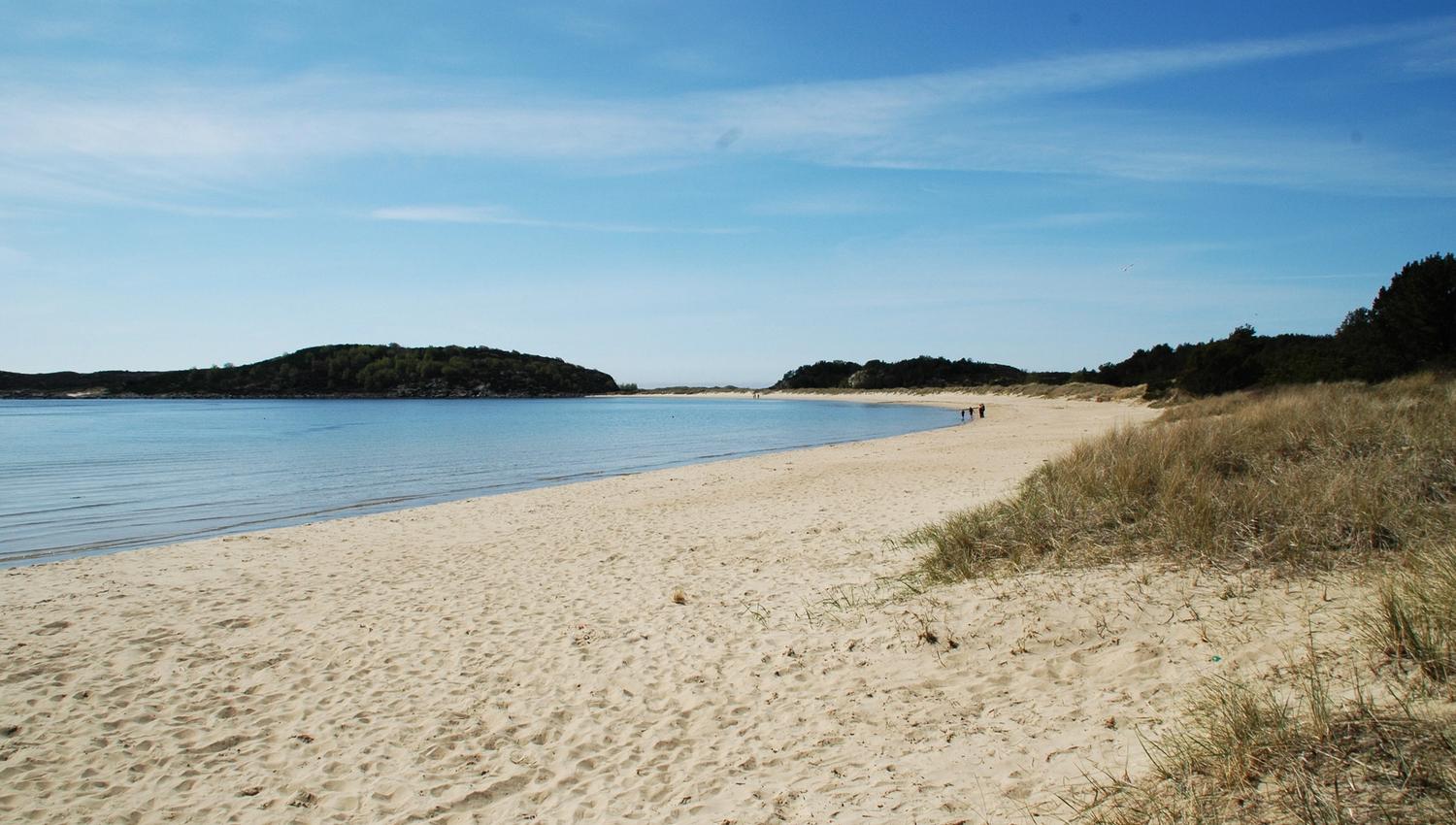 Lomsesanden