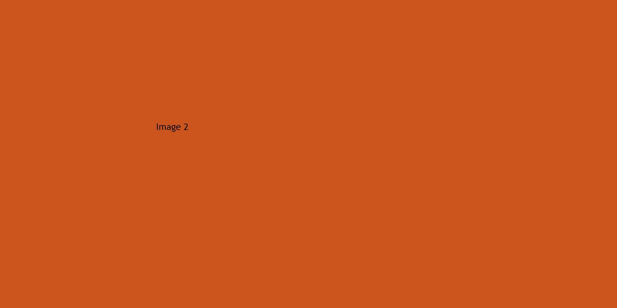 This is the image ALT Text.
