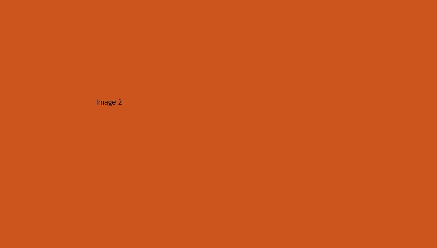 This is the image ALT Text.