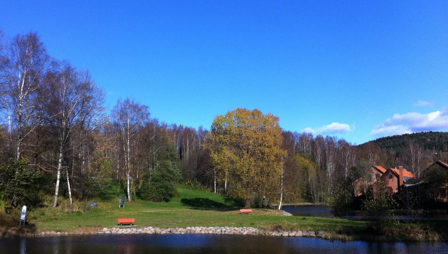 The pond surrounded by trees.