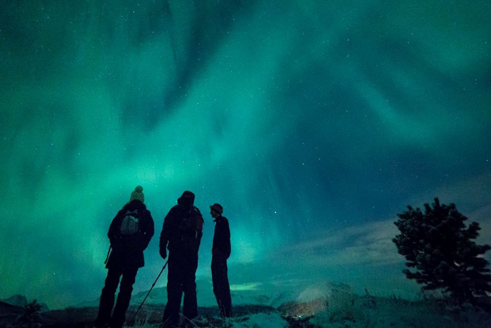 The Northern Lights light up overhead