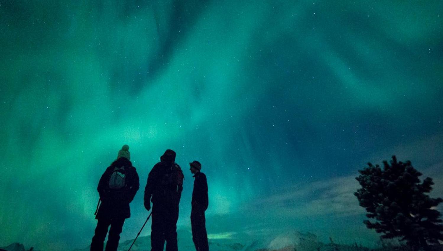 The Northern Lights light up overhead