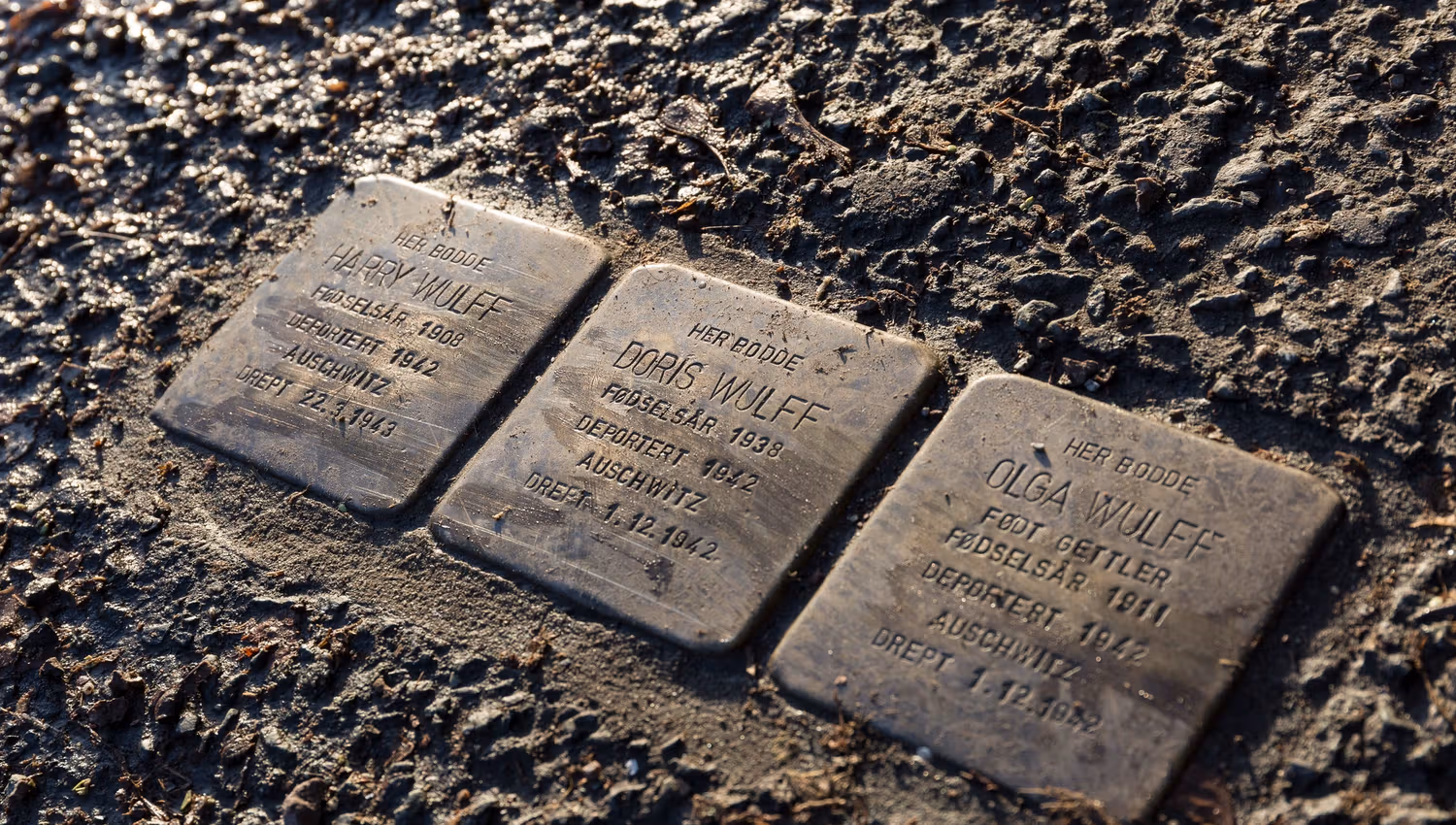 Three cubes of the Stolperstein (stumbling stone) project in the street: Doris, Harry and Olga Wulff who were deported to Auschwitz