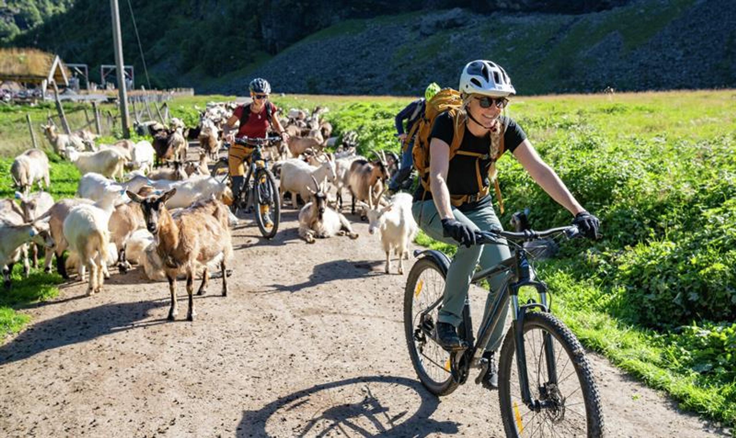Flåm Bike Rental