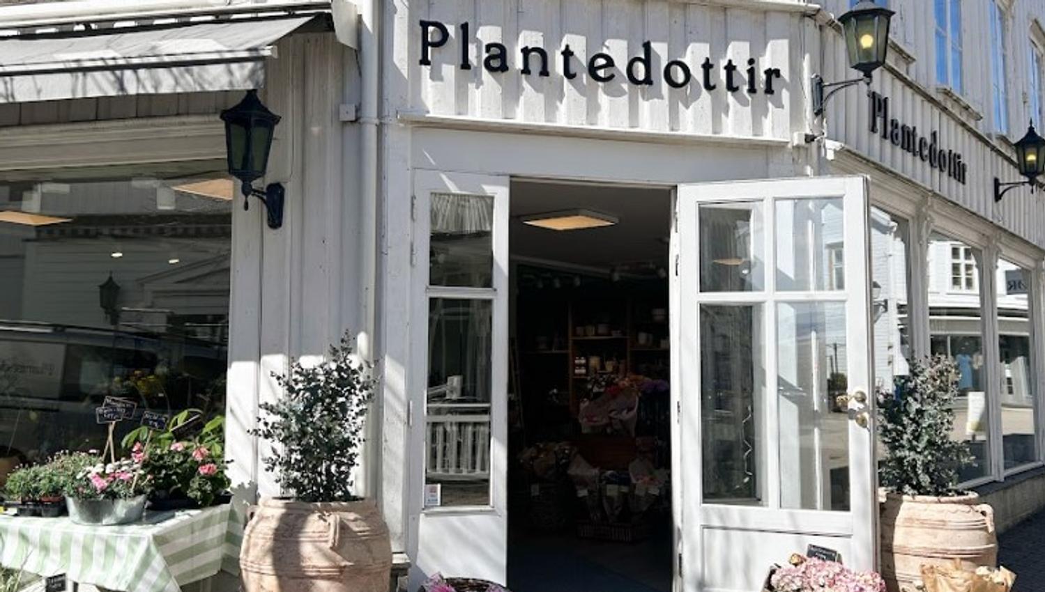 Plantedottir1