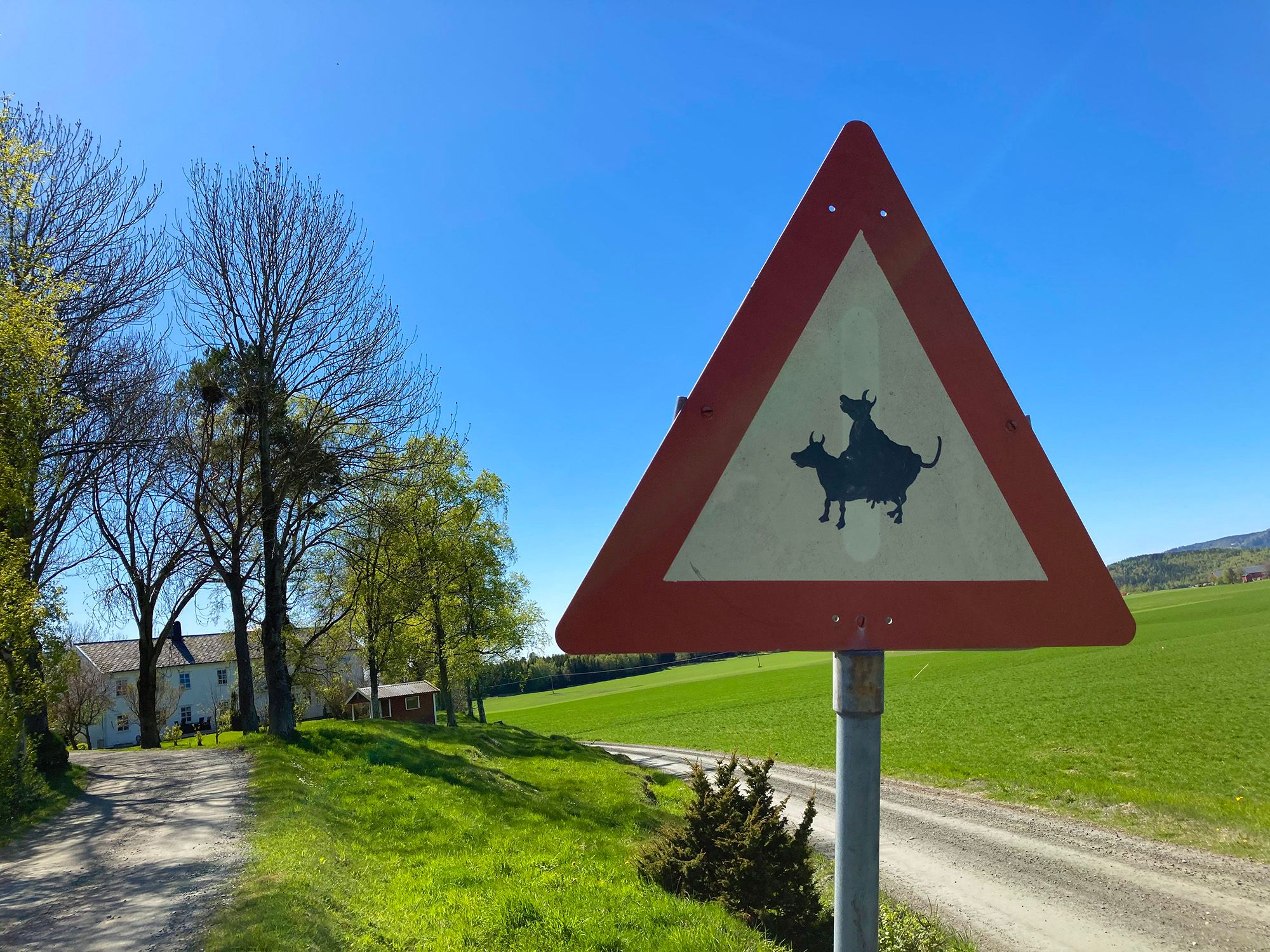 Artig skilt ved gården Skjerve