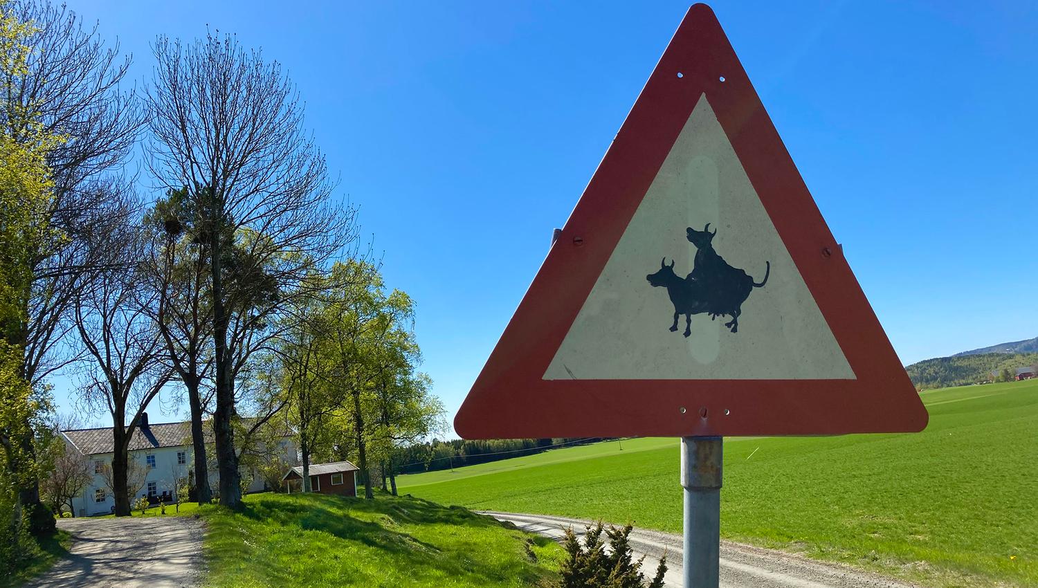 Artig skilt ved gården Skjerve