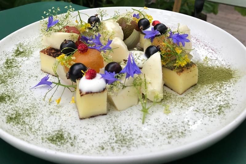 A delicate dessert plate served on a white dish, placed on a green table in a greenhouse surrounded by leafy plants and vines. The dish includes small