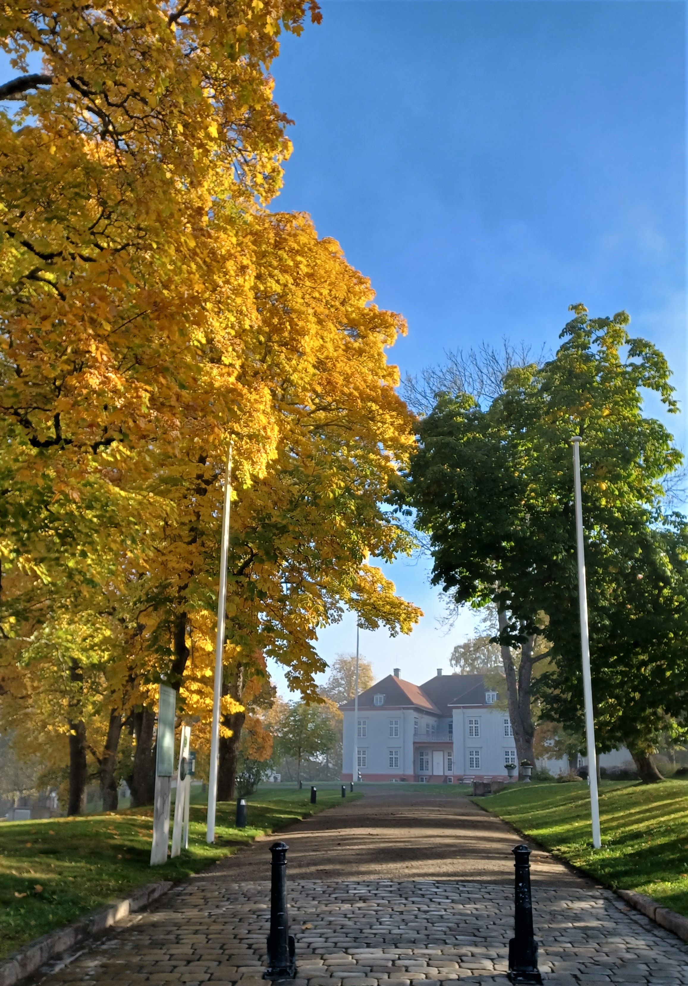 autum colours with Eidsvoll 1814 in the background