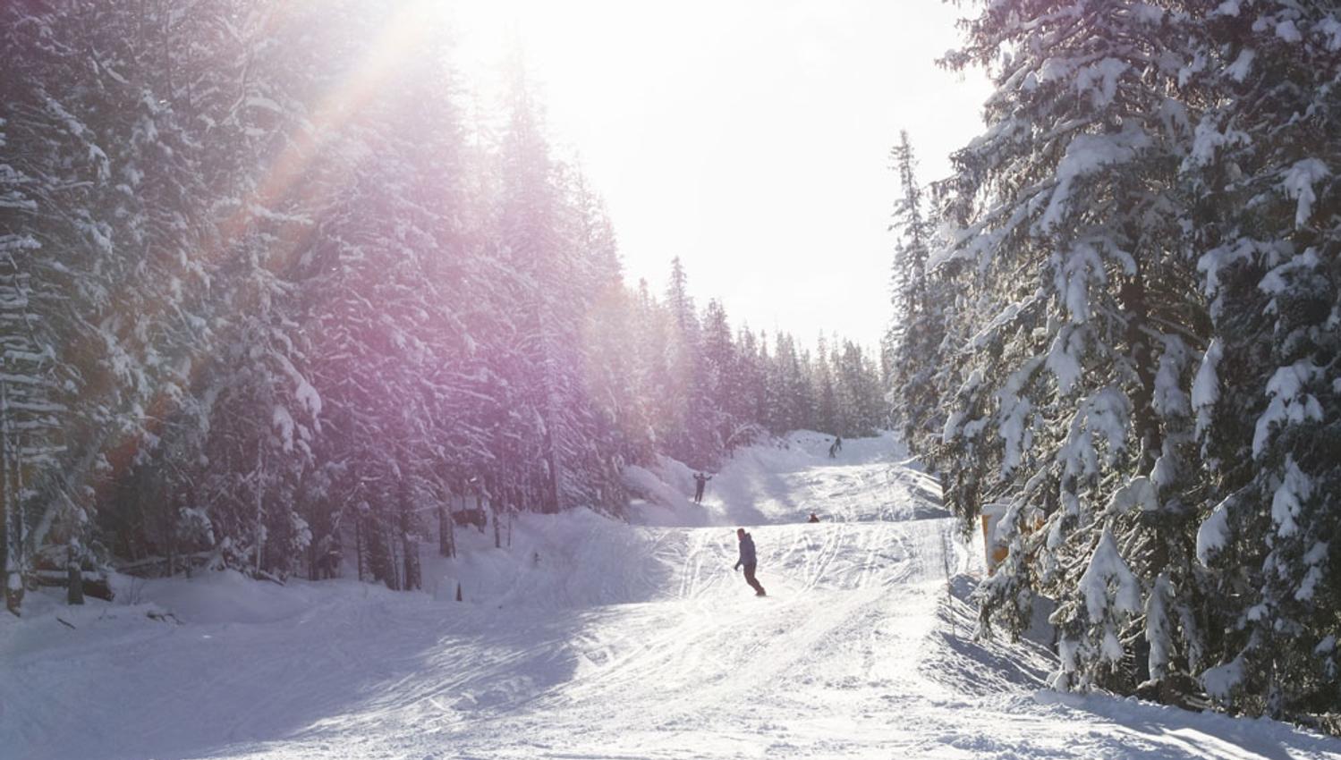 descent at Gausta ski center through the forest