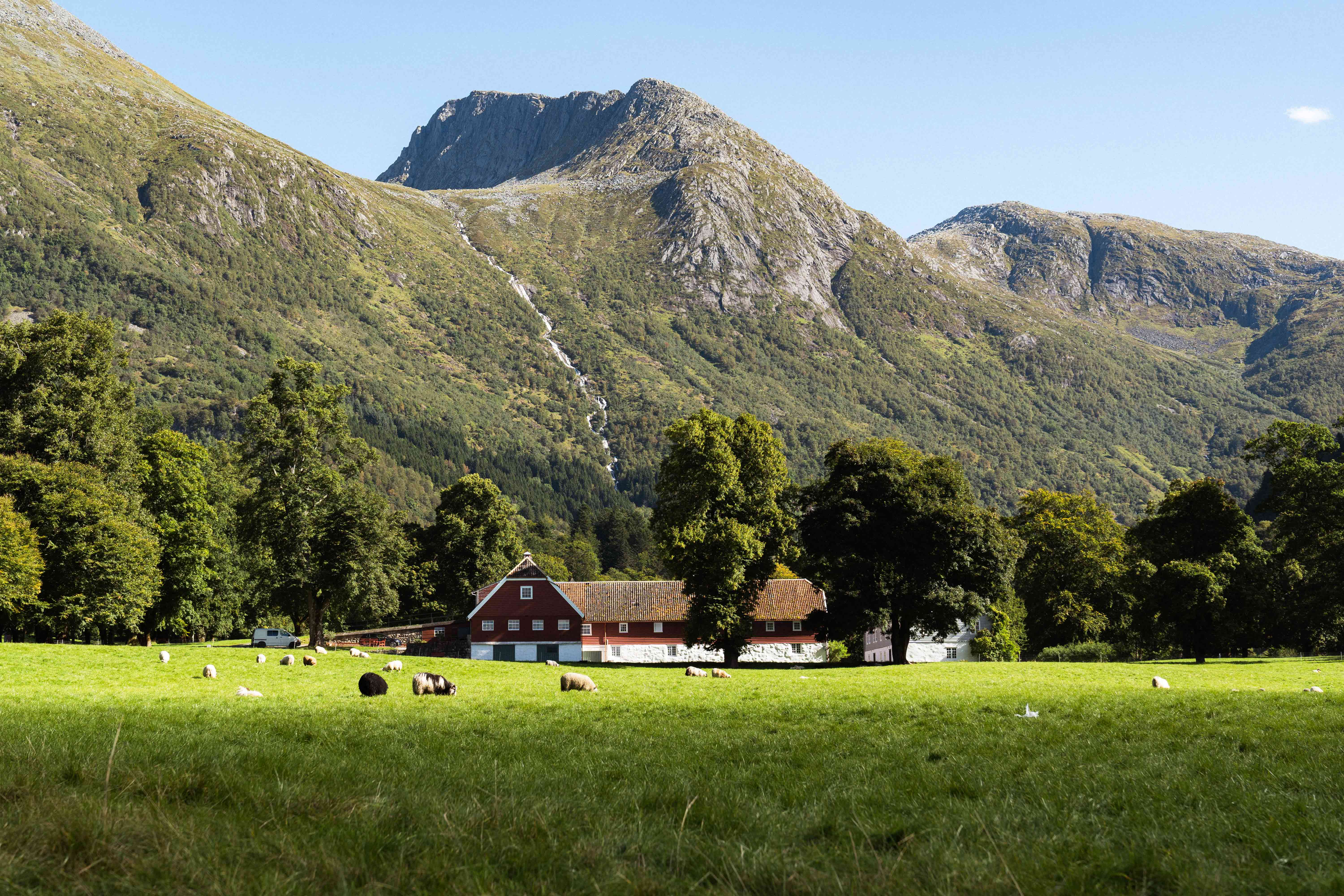 Baroniet Rosendal Avlsgård i naturskjønne omgjevnader – Det ikoniske, raudmåla gardsanlegget ligg omkransa av frodige enger, beitande sauer og majestetiske fjell i Rosendal.