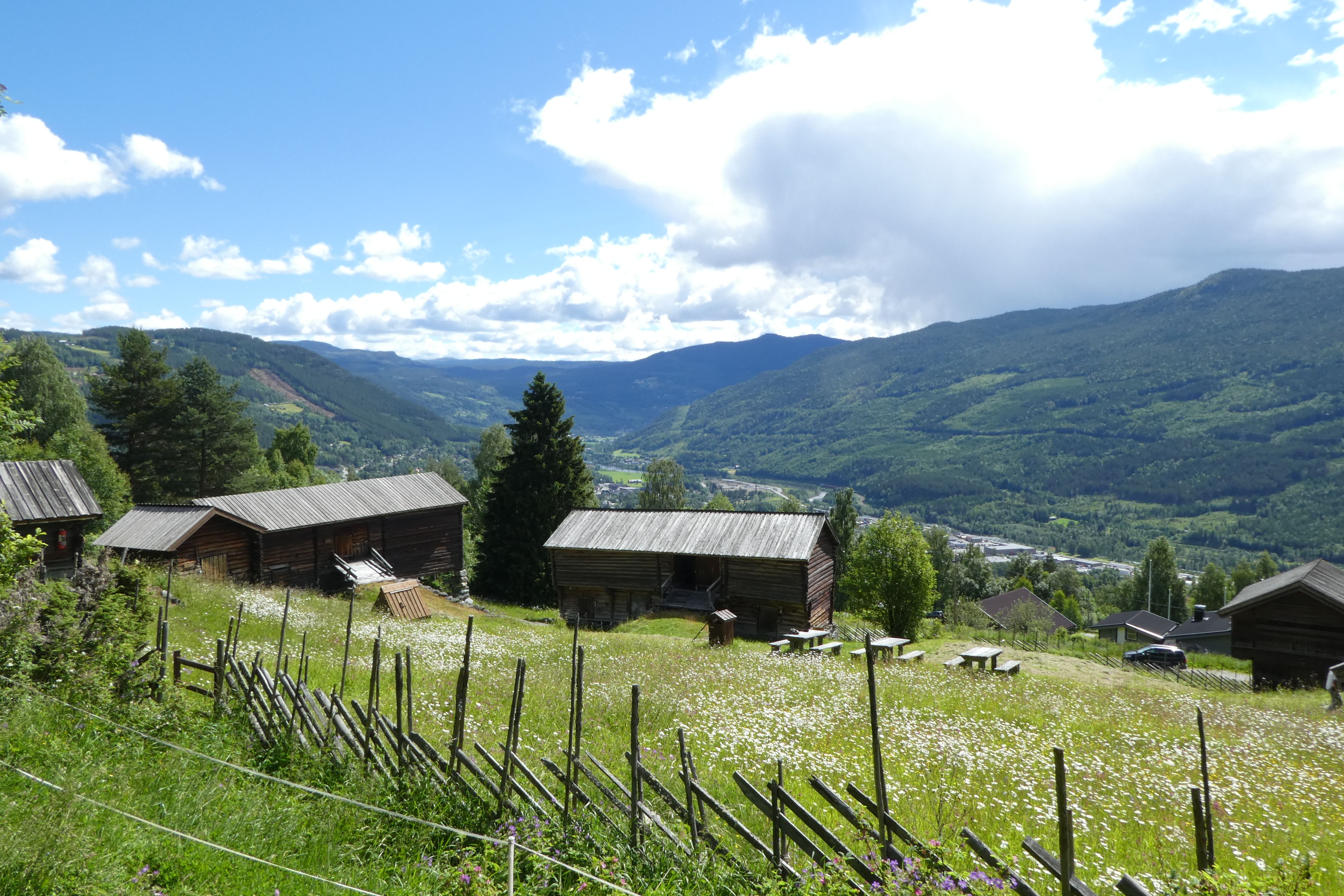 P1000077