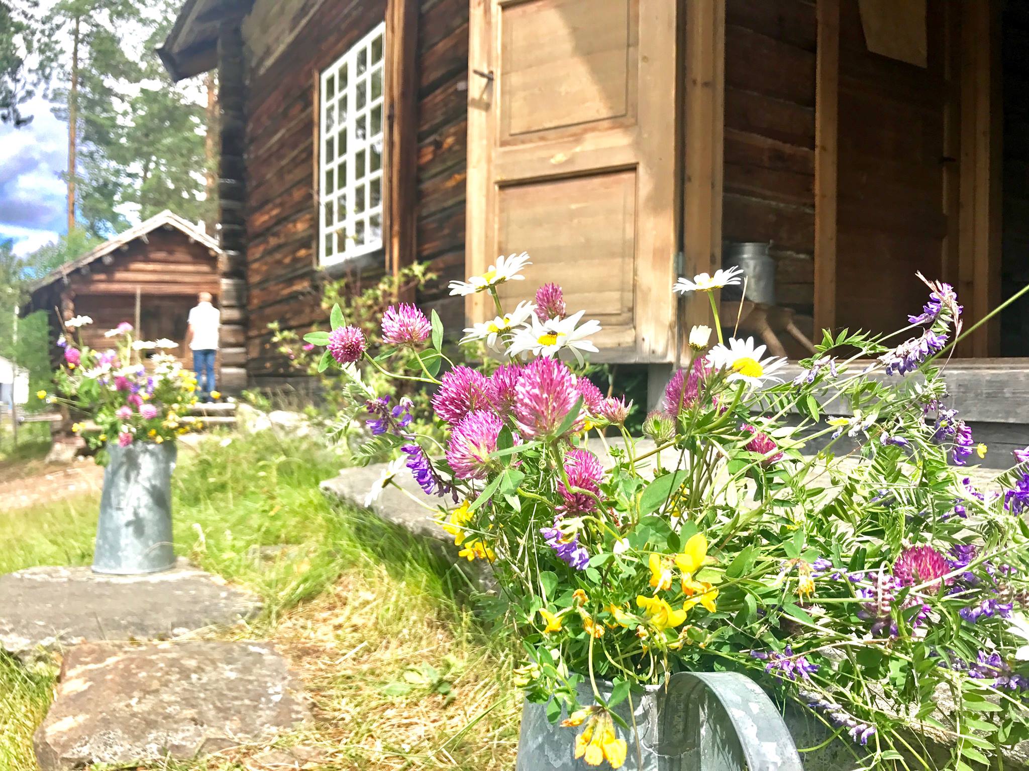 Finnetunet Norsk Skogfinsk Museum