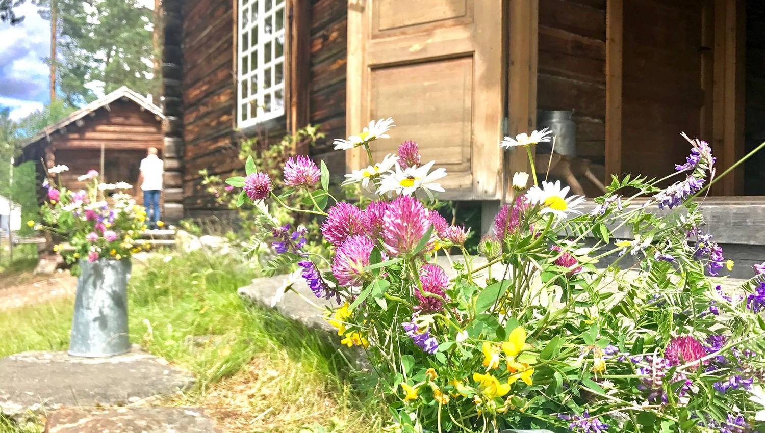Finnetunet Norsk Skogfinsk Museum