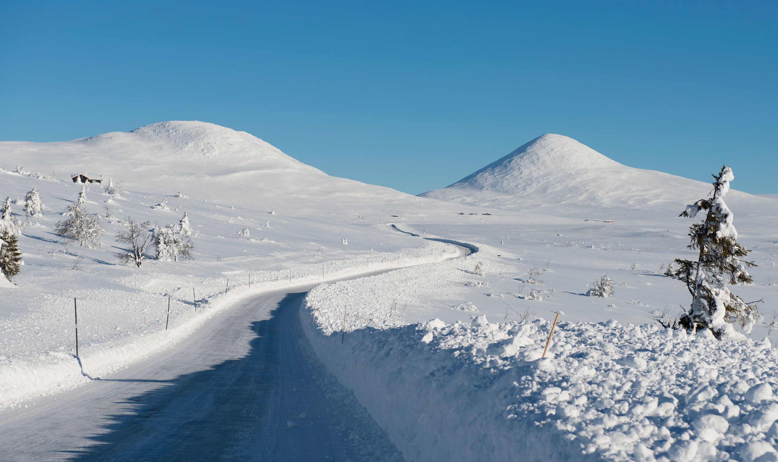 VL-Venabygdsfjellet_Foto_Jarle-Wæhler-Statens-vegvesen