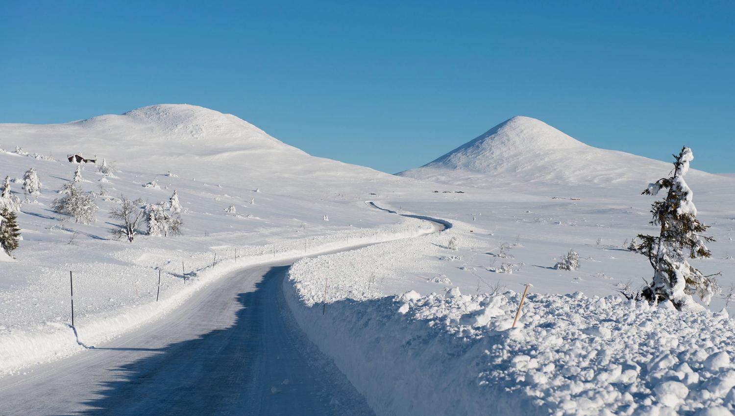 VL-Venabygdsfjellet_Foto_Jarle-Wæhler-Statens-vegvesen