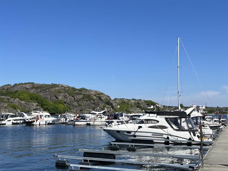 The Guest harbour