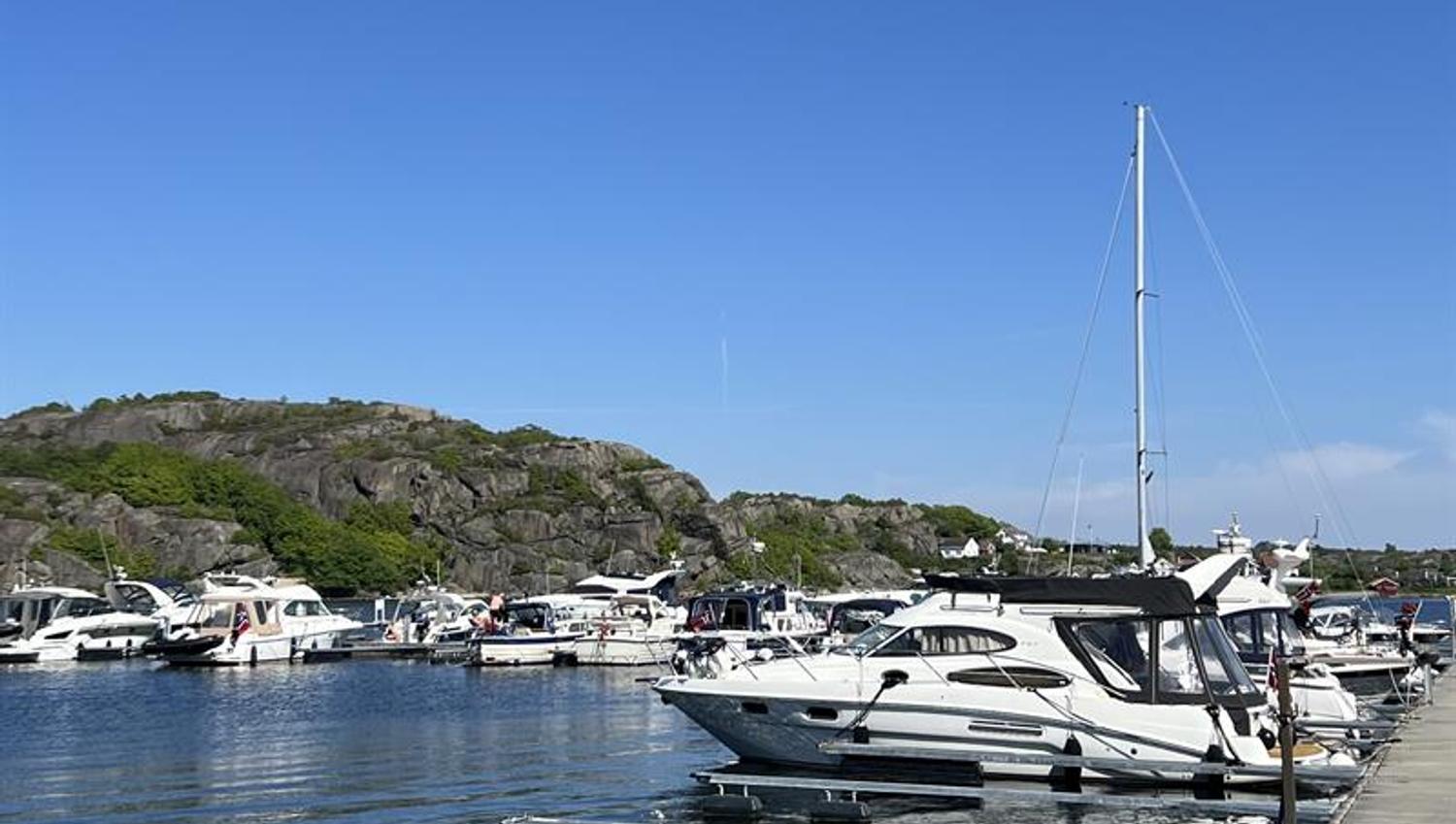 The Guest harbour
