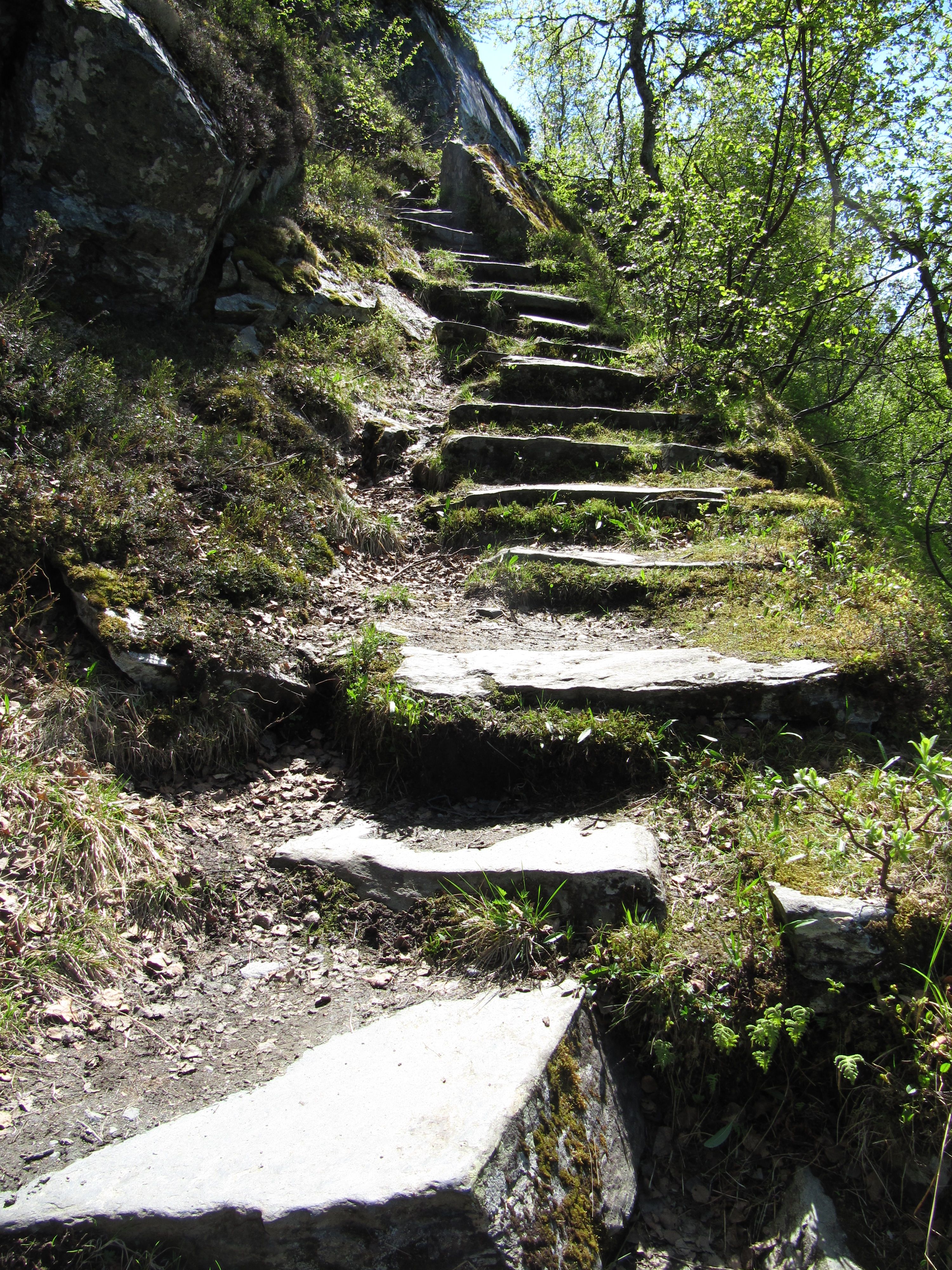 The historic Monk’s Steps – ancient stone stairs built by hand, surrounded by green trees and moss.