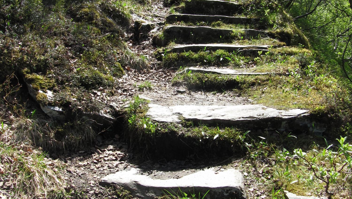 The historic Monk’s Steps – ancient stone stairs built by hand, surrounded by green trees and moss.