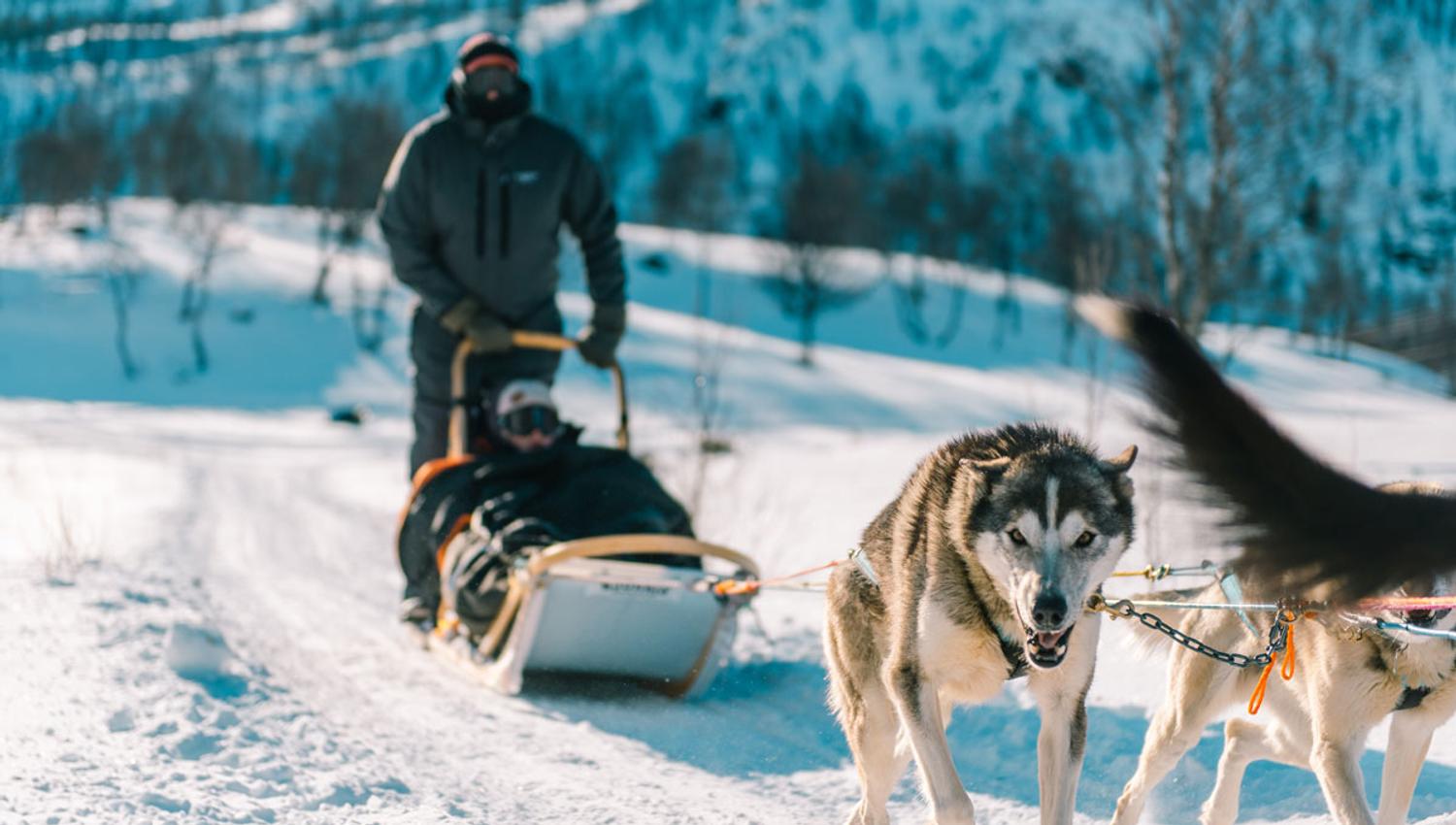 på tur med Haukeli Husky