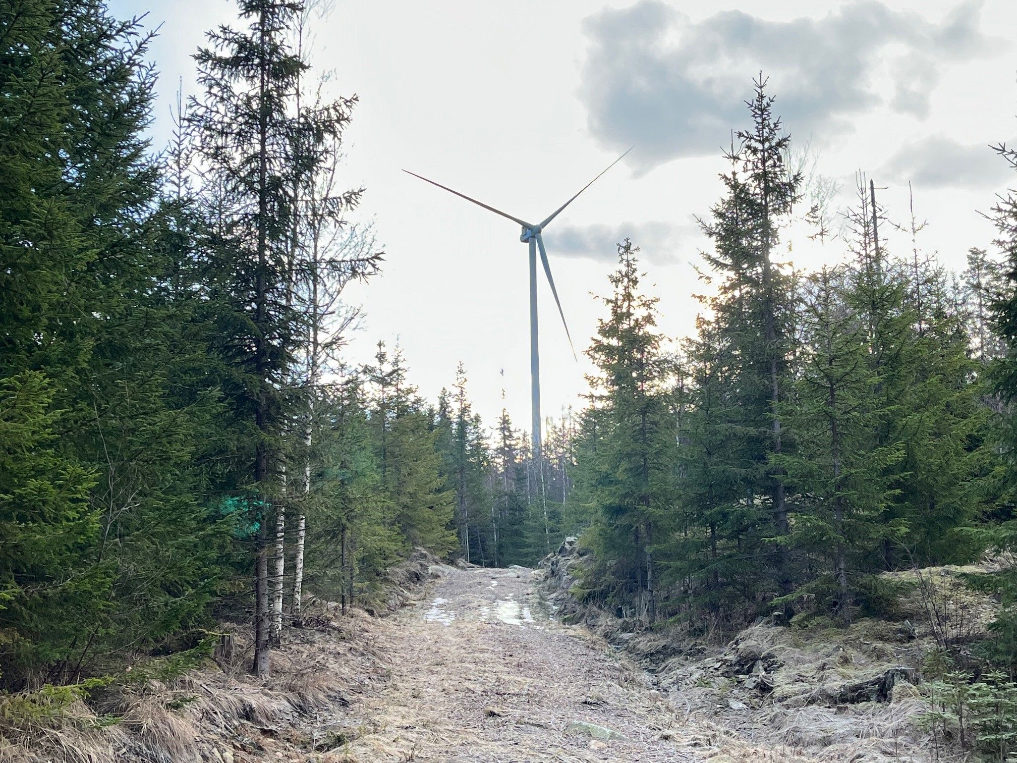Vindmøller i skogen - vi nærmer oss.