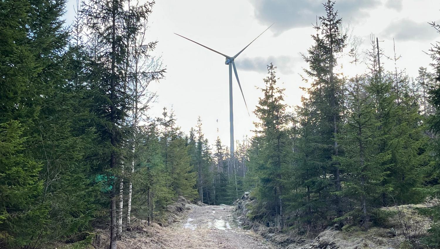 Vindmøller i skogen - vi nærmer oss.