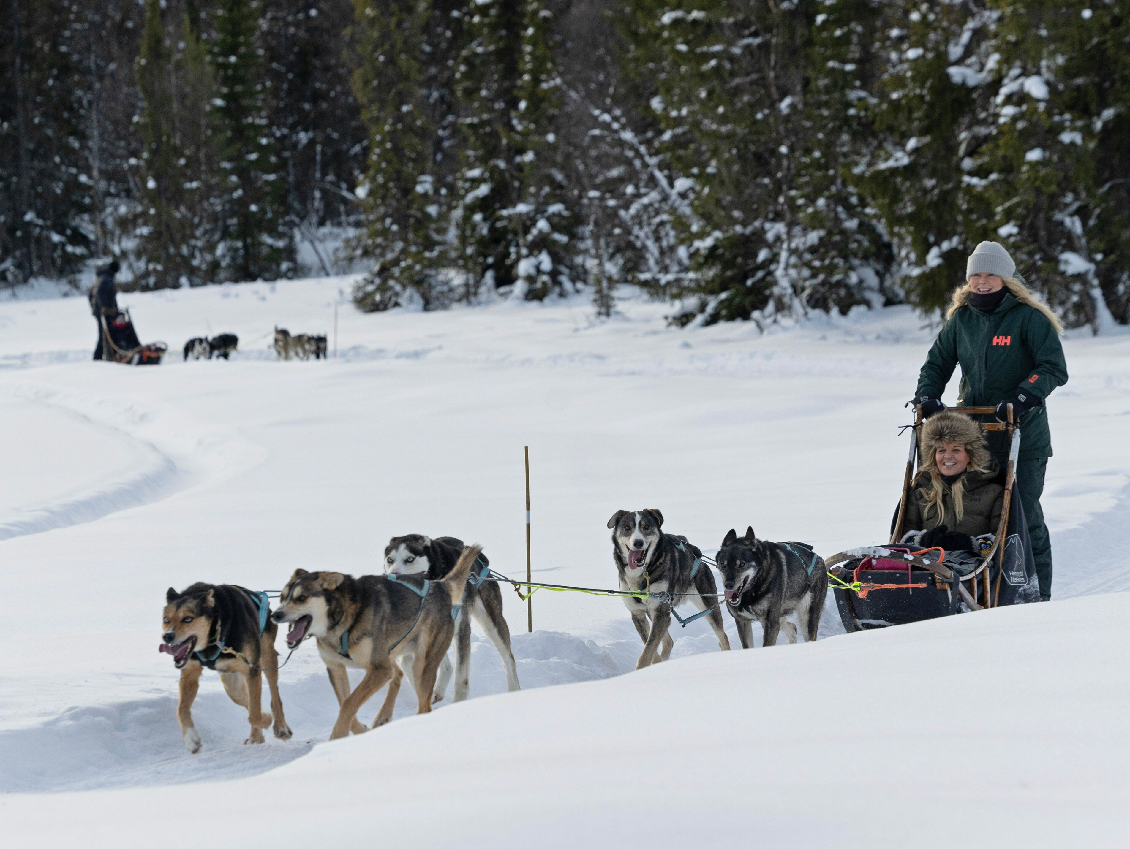 Hemsedal Huskies