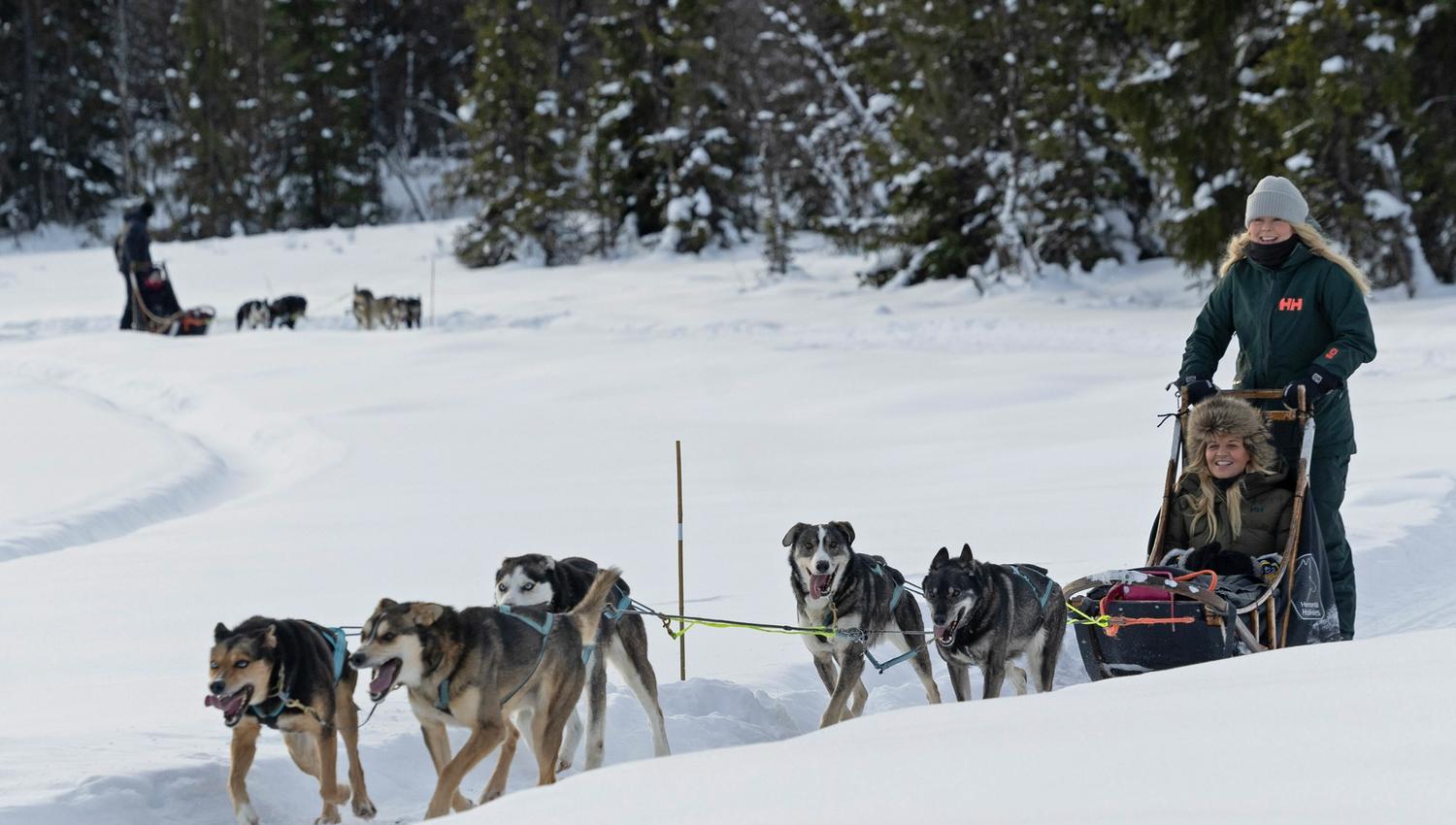 Hemsedal Huskies
