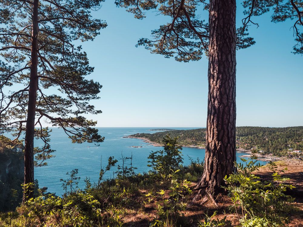 Utsikt fra Rognåsen på kyststien i Bamble
