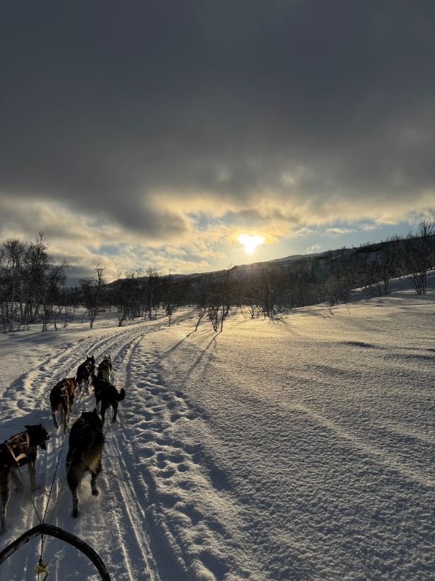 Hundesledetur på ettermiddagen