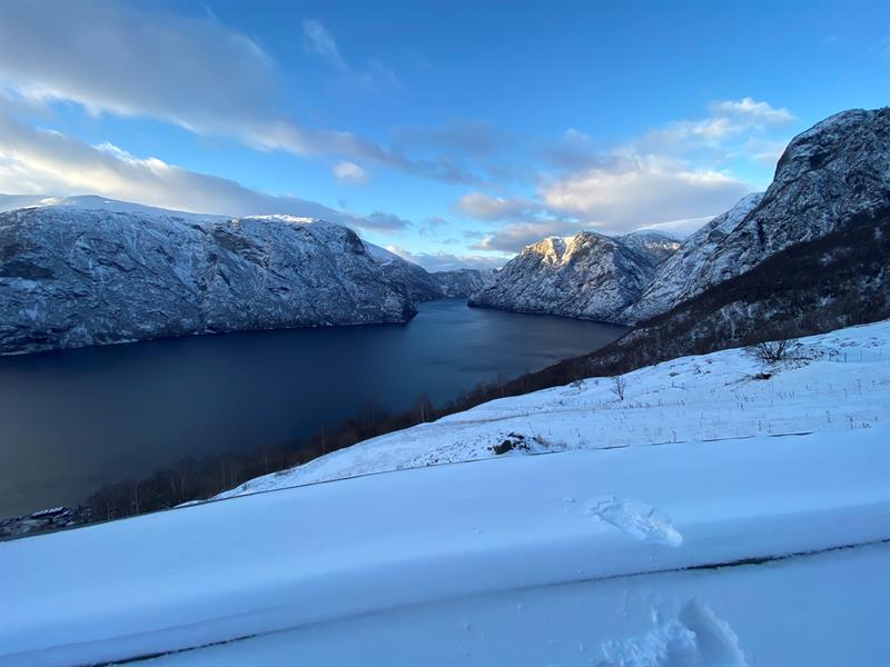 Beautiful view all year!