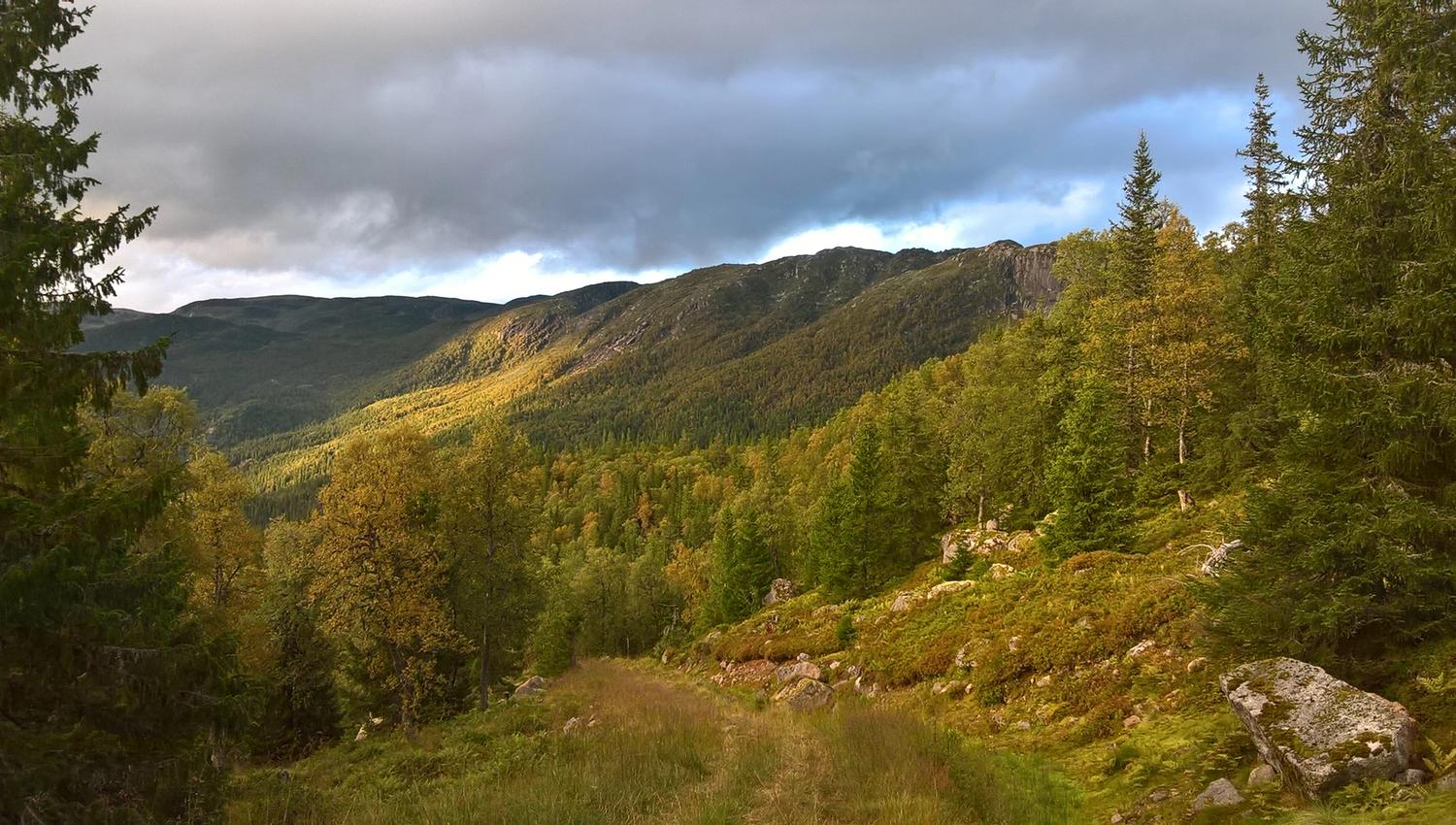 Valefjell
