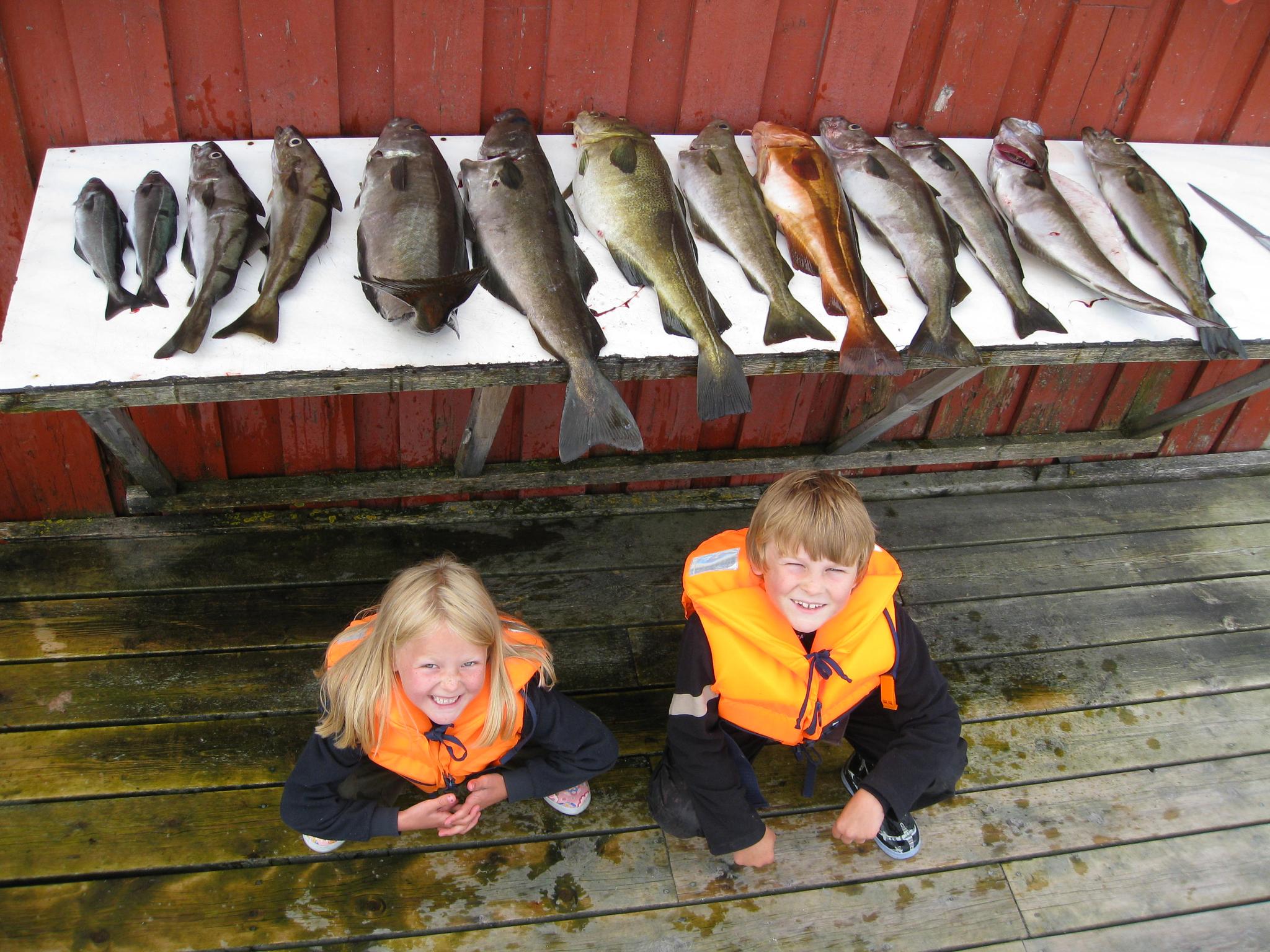 Guidet fisketur ved Atlanterhavsveien med Strømsholmen Sjøsportsenter