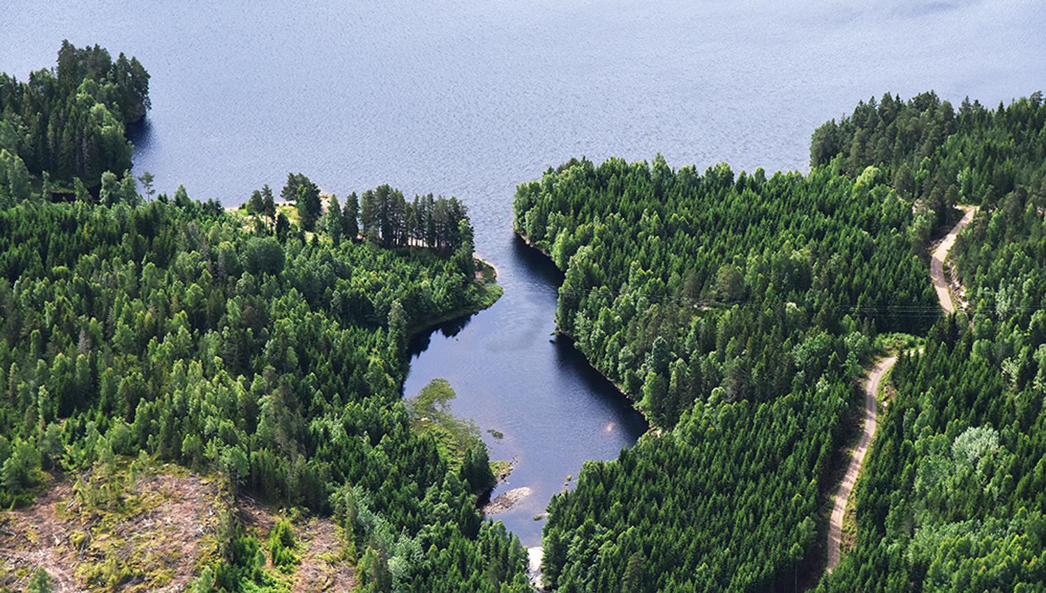 Vannet Gorningen i Siljan sett fra fugleperspektiv