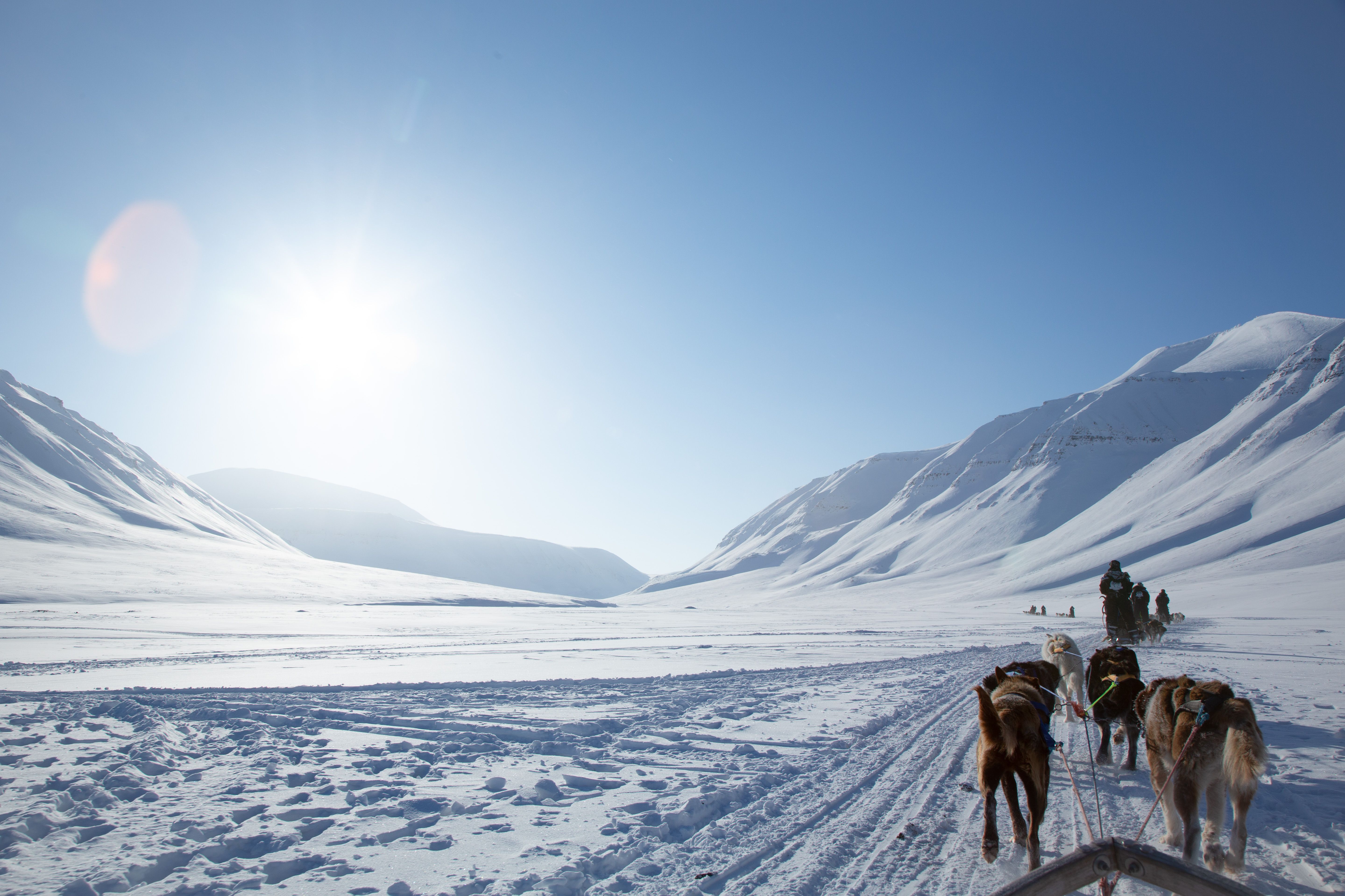 Dog sleds sledding through a valley