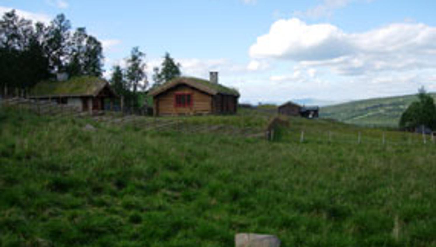 Selet oversikt ute sommar