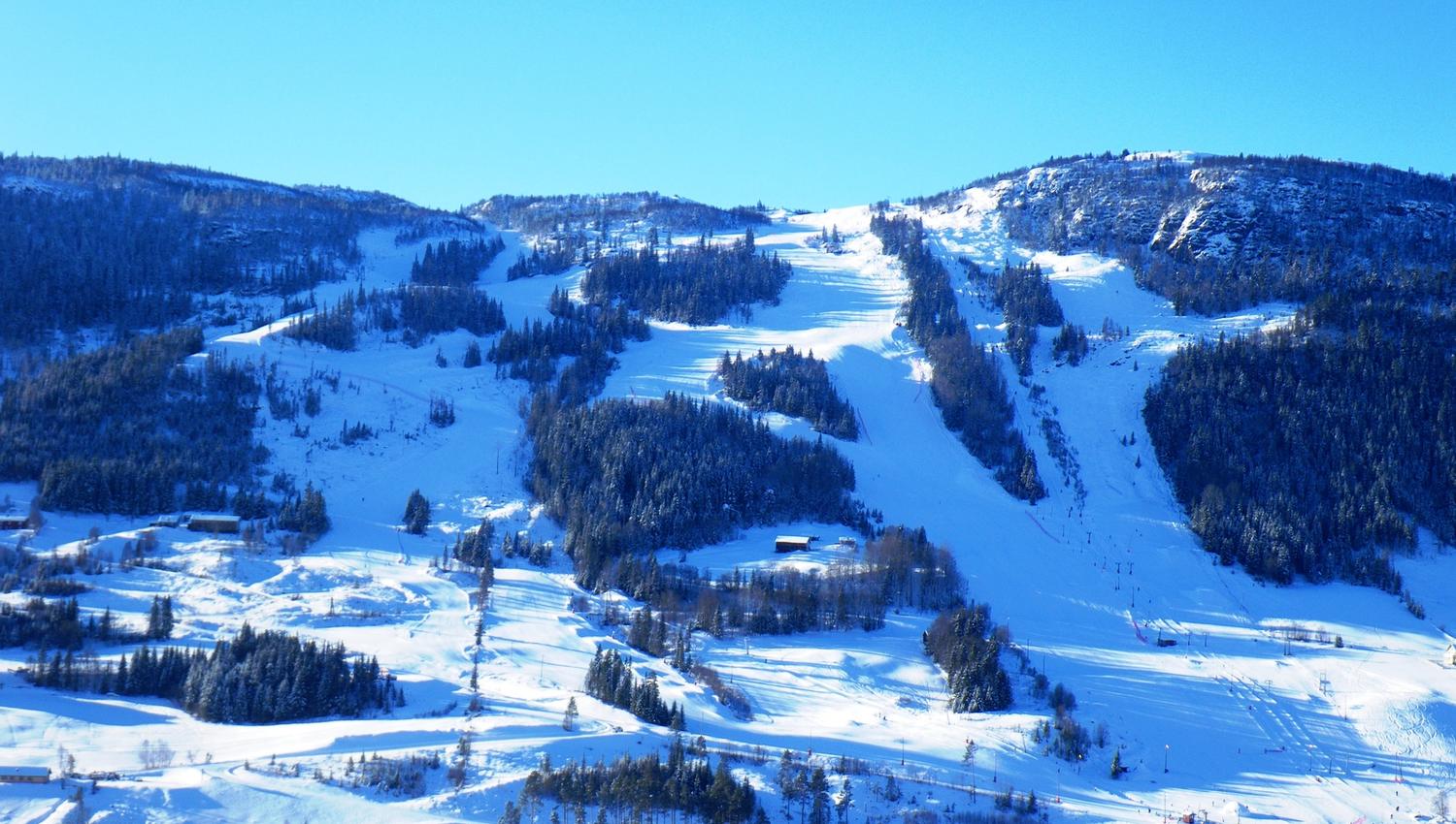 Ål Skisenter