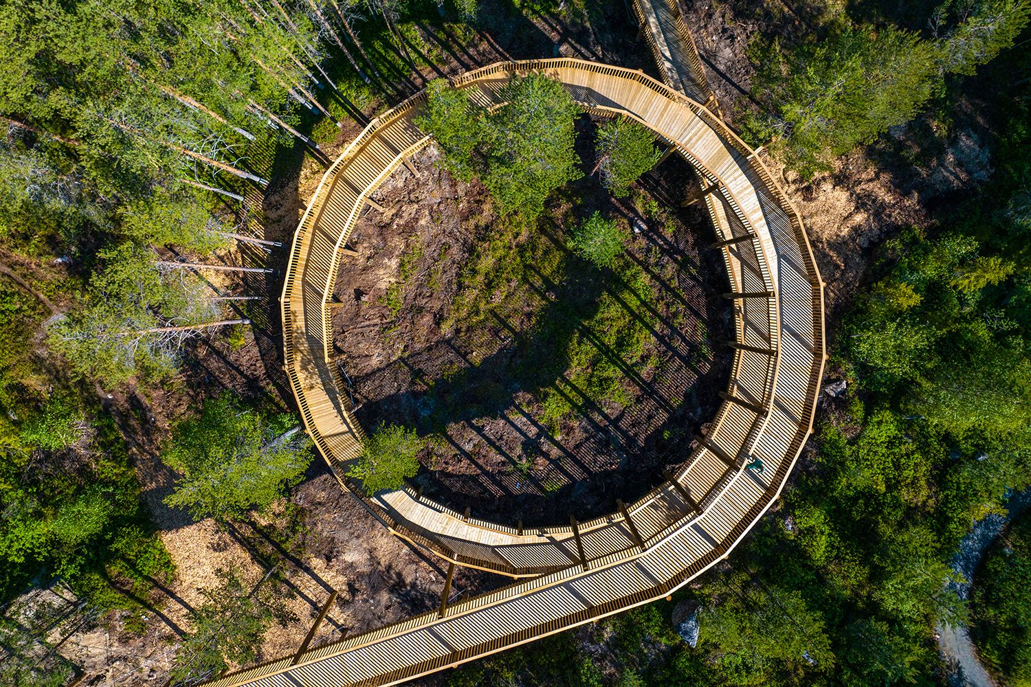 The spiral.