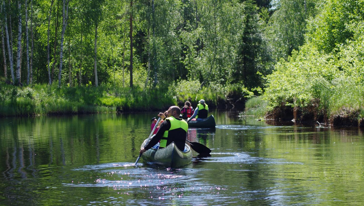 Opplev Kynna - Finnskogen