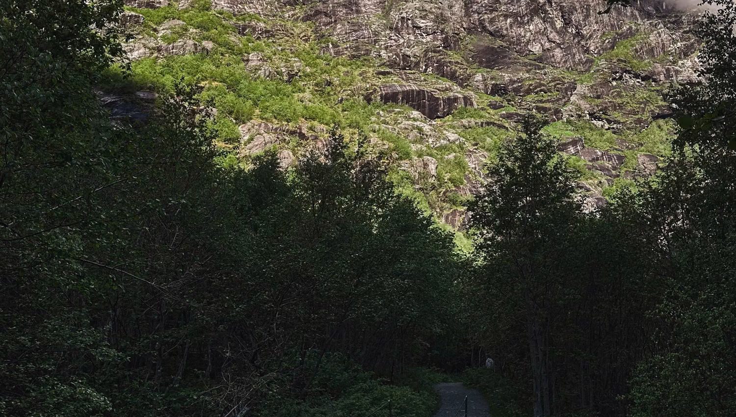A narrow wooden footbridge crosses a rocky stream toward a forest path beneath a cloud-covered mountainside..